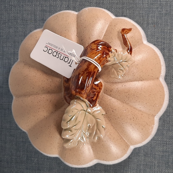 Ceramic Pumpkin Figure Tabletop Decor Fall Harvest Half Glazed White Natural - Picture 2 of 6